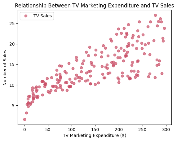 Scatter Plot